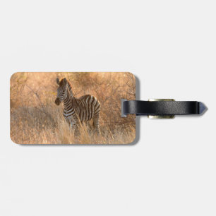 Zebra in het ochtendlicht bagagelabel