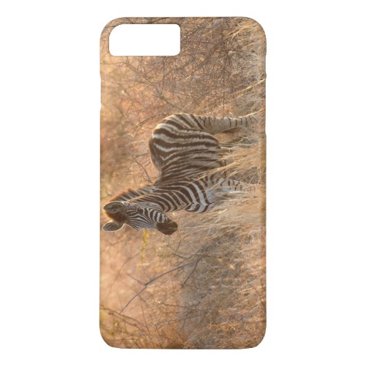 Zebra in het ochtendlicht Case-Mate iPhone case (Achterkant)