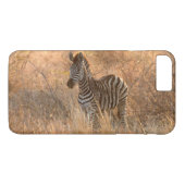 Zebra in het ochtendlicht Case-Mate iPhone case (Achterkant (Horizontaal))