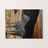 Zebra in Kenia. Legpuzzel (Horizontaal)