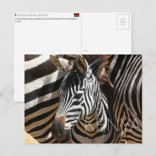 Zebra in Masai Mara, Kenia Reisansichtkaart Briefkaart