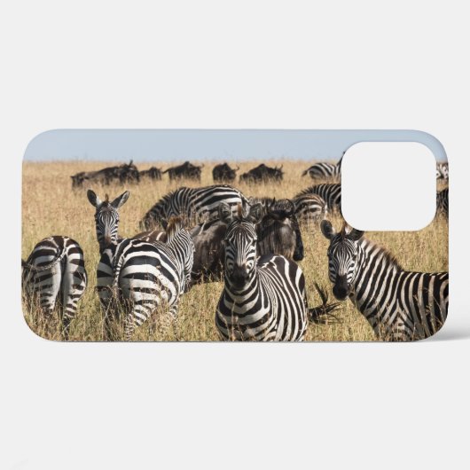 Zebra iPhone 12 Hoesje van Grant (Achterkant (horizontaal))