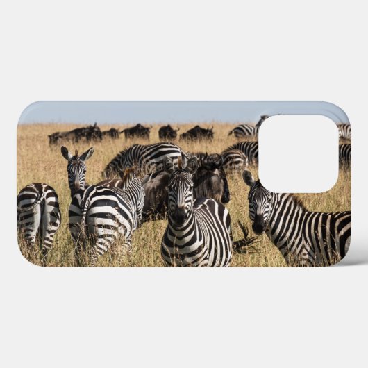 Zebra iPhone 13 Pro-Hoesje van Grant Case-Mate iPhone Case (Achterkant (horizontaal))