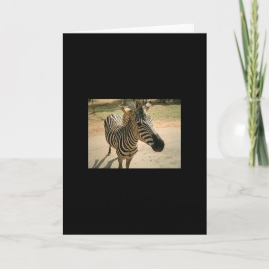 Zebra Kaart (Voorkant)