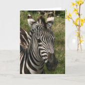 zebra kaart (Gele Bloem)