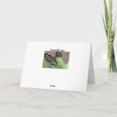 Zebra Kaart (Achterkant)