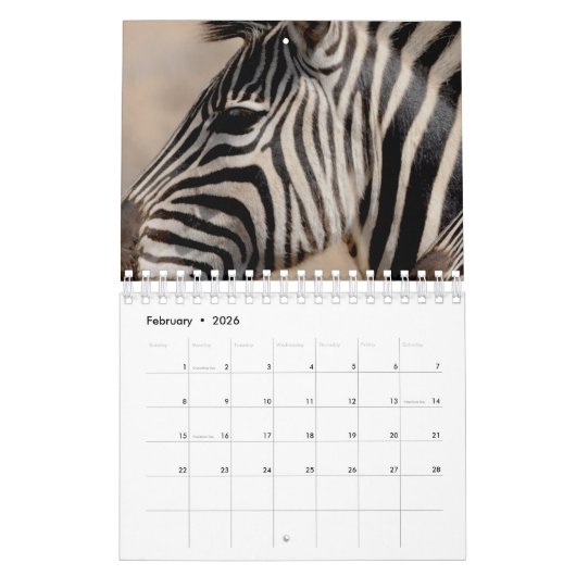 Zebra Kalender (Feb 2026)