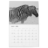 Zebra Kalender 2025 (Mar 2026)