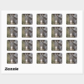 Zebra, Kenia, Afrika Vierkante Sticker (Vel)