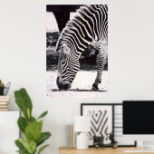 Zebra kop - zwart - wit poster (Thuiskantoor)