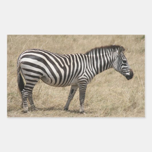 zebra kort rechthoekige sticker (Voorkant)