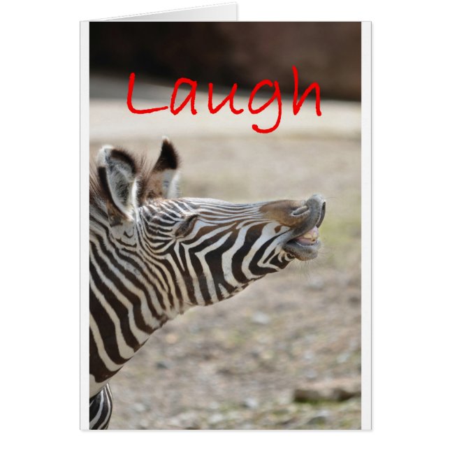 zebra lachen (Voorkant)