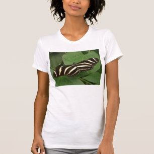 Zebra langwerpige Butterfly T Shirt