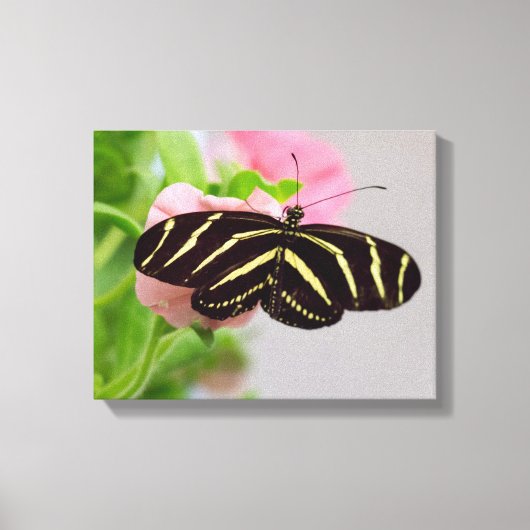Zebra langwerpvlinder canvas afdruk (Voorkant)