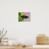Zebra langwerpvlinder poster (Keuken)