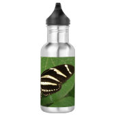 Zebra langwerpvlinder waterfles (Rechts)
