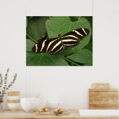 Zebra Langwerpvlinderdruk Poster (Keuken)