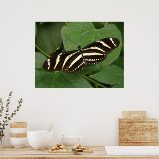 Zebra Langwerpvlinderdruk Poster (Keuken)