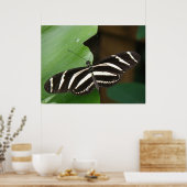  Zebra langwerpvlinderdruk Poster (Keuken)