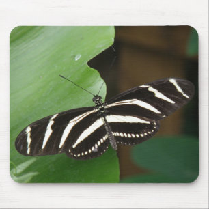  Zebra langwerpvlindermousepad Muismat