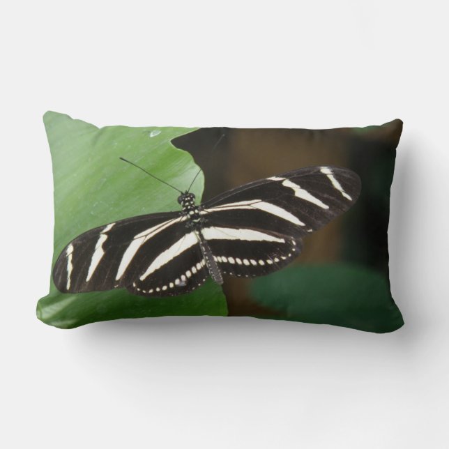  Zebra langwerpvlinderpiloot Kussen (Voorkant)