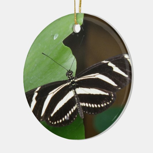 Zebra langwerpvlinderversiering Keramisch Ornament (Links)