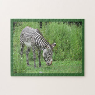 Zebra Legpuzzel