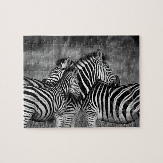 Zebra Legpuzzel (Horizontaal)