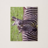 Zebra Legpuzzel (Verticaal)