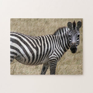 zebra legpuzzel