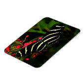 Zebra Long Wing op bloemen Magneet (Linkerzijde)