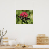Zebra-longvlinder, Heliconius Poster (Keuken)