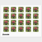 Zebra-longvlinder, Heliconius Vierkante Sticker (Vel)