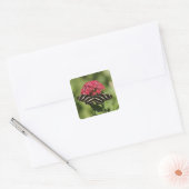 Zebra-longvlinder, Heliconius Vierkante Sticker (Envelop)