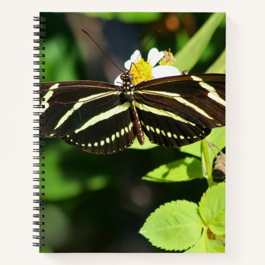 Zebra Longwing Butterfly Spiral Notebook Notitieboek (Voorkant)