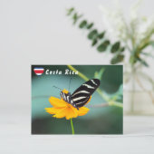 Zebra Longwing Vlinder - Costa Rica Briefkaart (Staand voorkant)