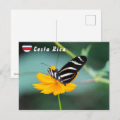 Zebra Longwing Vlinder - Costa Rica Briefkaart (Voorkant / Achterkant)