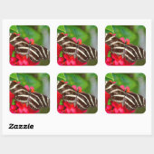 Zebra Longwing Vlinder Natuur Foto Vierkante Sticker (Vel)