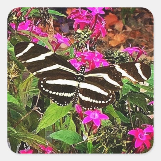 Zebra Longwing Vlinder Vierkante Sticker (Voorkant)