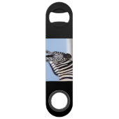 Zebra looking at you (Devant)