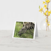 Zebra Love Get Well Folded Kaart (Gele Bloem)