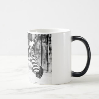 Zebra Magische Mok