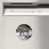 Zebra Magneet (Insitu (Vaatwasser))