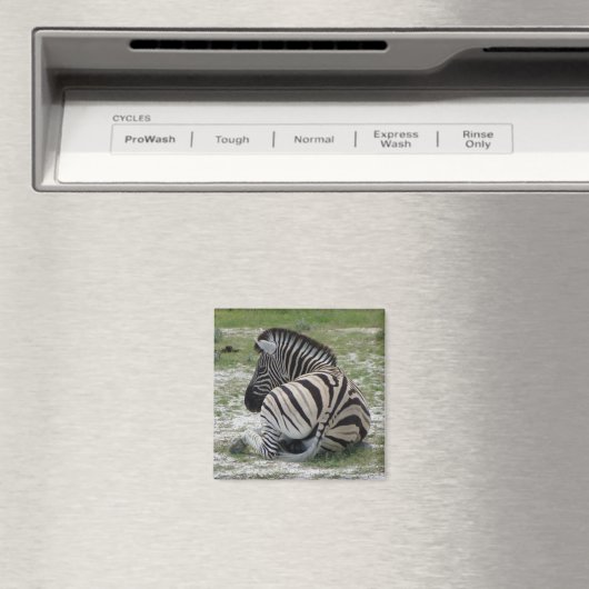 Zebra Magnet (In Situ (Lave-vaisselle))
