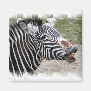 Zebra Magnet glimlachen Magneet
