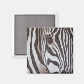 Zebra Magnet Magneet (Voorkant / Achterkant)
