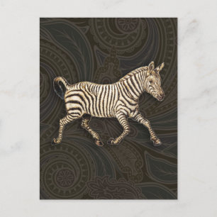 zebra met paisleyontwerp briefkaart