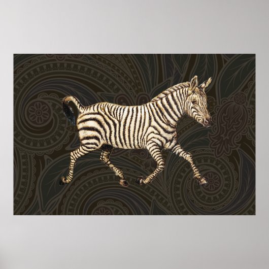 zebra met paisleyontwerp poster (Voorkant)