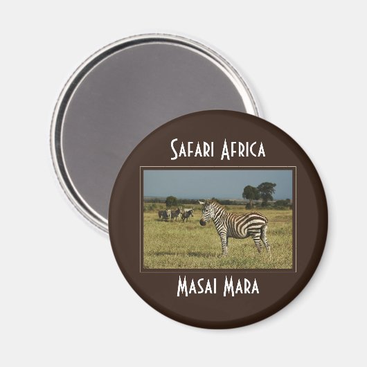 Zebra migration faune magnets safari (Recto/Verso)
