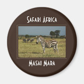 Zebra migration faune magnets safari (Devant)